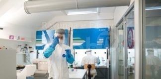 Unibo ricerca, l’analisi del DNA antico getta luce sulla storia di una specie estinta: il prolago sardo