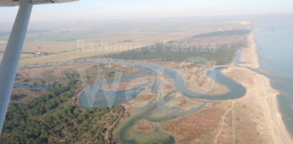 Italia Nostra Ravenna: confermata a Ravenna vendita centinaia ettari di zone altissimo pregio ambientale ad immobiliare