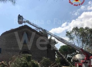 Rimossi dai Vigili del Fuoco i pini caduti sulla chiesa Madonna del Pino a Cervia
