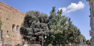 Il Comune di Russi intitola una via a Dante Marcucci, ex primario dell’ospedale