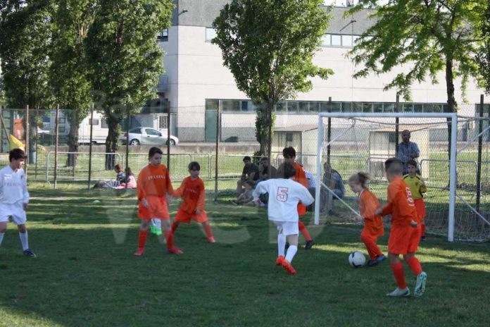 Compagnia-dell'Albero_Stage-calcio