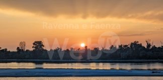 Distretto del Po: l’afa ha i giorni contati