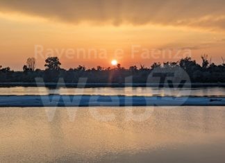 Distretto del Po: l’afa ha i giorni contati