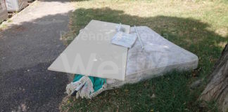 Ferrero (FdI): “Discarica a Lido Adriano”