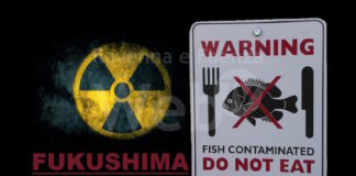 Ravenna in Comune: “Le acque di Fukushima “contaminano” Ravenna”