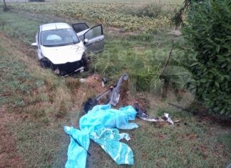 Auto esce di strada e si scontra con un terrapieno in cemento: un uomo al Bufalini