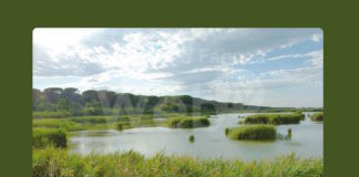 Ravenna in Comune: “Pioggia di fuffa su Ortazzo e Ortazzino”