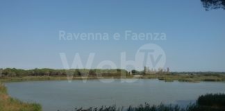 Ortazzo e Ortazzino, Europa Verde: “L’ente Parco del Delta del Po continua a non chiarire i retroscena del suo mancato acquisto”