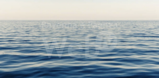 Balneazione: A Cervia le acque sono di qualità “eccellente” e “buona”