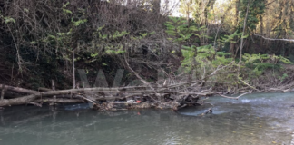 Nel 2019 la Pigna propose la pulizia dei fiumi: “se i lavori fossero iniziati subito i danni alle persone e alle cose sarebbero stati minimali “