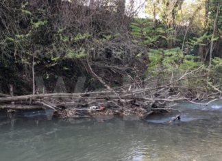 Romagna Faentina: Via libera dalla Regione per la raccolta di legname dai fiumi