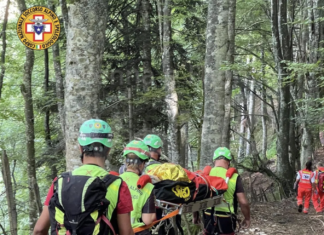 Colpita da un cavallo mentre era in escursione. 53enne ravennate finisce all’ospedale