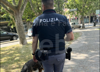 Ravenna, Prefetto: Stazione ferroviaria, viale Farini, Giardini Speyer costantemente vigilati per contrastare abusi e “malamovida”