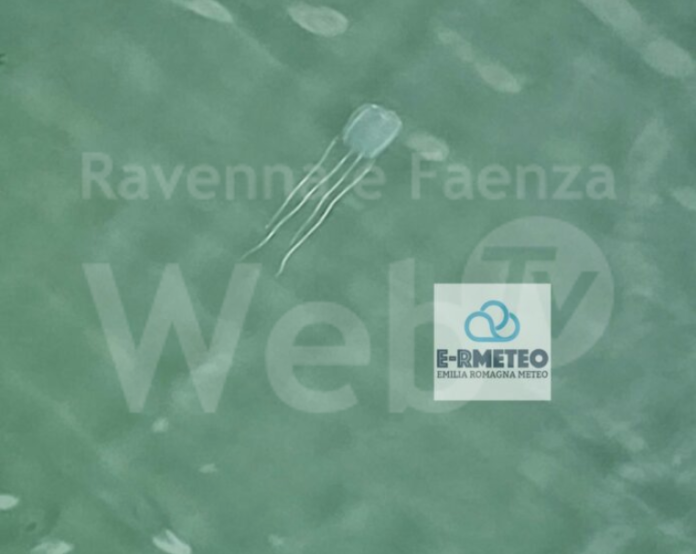 Schermata 2023-08-09 alle 18.11.19