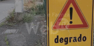 Mastacchi (Rete civica): “Lidi di Savio e Classe, le radici dei pini deformano strade e marciapiedi”