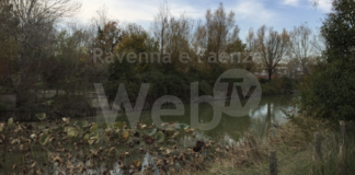 Parco Teodorico: nuova recinzione intorno al laghetto, a tutela dell’incolumità dei fruitori dell’area verde