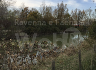 Parco Teodorico: nuova recinzione intorno al laghetto, a tutela dell’incolumità dei fruitori dell’area verde