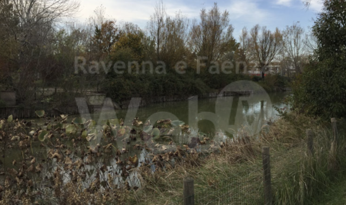 Schermata 2023-08-23 alle 11.55.43