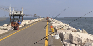 Autorità Portuale: chiusura dei tratti finali di alcune dighe per una manifestazione di pesca sportiva