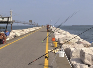 Manifestazione di pesca sportiva, l’Autorità Portuale ordina la chiusura Diga forenea Nord L. Cavalcoli