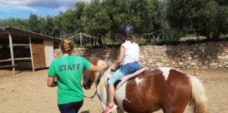 Hanno percepito indebitamente 27mila euro come sussidi covid. Denunciati dalla Finanza 4 collaboratori di un centro ippico