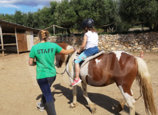 Hanno percepito indebitamente 27mila euro come sussidi covid. Denunciati dalla Finanza 4 collaboratori di un centro ippico