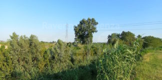 Vitali (PdF): “La situazione di alvei ed argini dei fiumi è disastrosa. Che fine hanno fatto i fondi tanto promessi?”