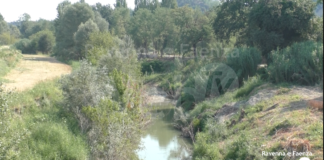 L’appello del sindaco di Castel Bolognese: “I lavori sul Senio ripartano al più presto”