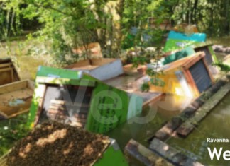 Una raccolta fondi per aiutare gli apicoltori colpiti dall’alluvione