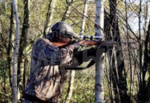 Animal Liberation: “Ora si può proibire la caccia sui propri terreni”