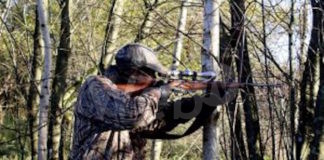 Ok al calendario della caccia in Emilia Romagna, si parte il 21 settembre