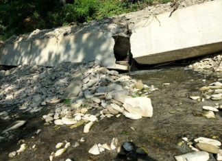 La segnalazione di un utente: collettore di Modigliana rotto, sversamento di liquami nel torrente