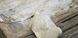 I libri e il fango nella Romagna allagata, mostra a Bologna