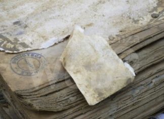 I libri e il fango nella Romagna allagata, mostra a Bologna