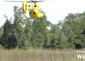 Grave incidente sul lavoro in un’azienda agricola alle porte di Faenza