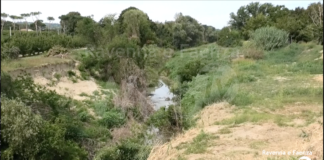 Emergenza e gestione fluviale: serata organizzata dai Verdi a Lugo