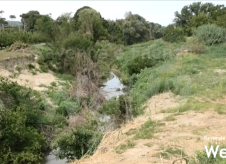 La rabbia dei residenti dell’Orto Bertoni e la paura di vivere in case che si possono nuovamente allagare