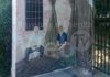 Villanova: in occasione dell’omaggio a Marescotti anche la presentazione di un murale