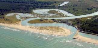 Presidio a Roma il 7 marzo presso il Ministero dell’Ambiente per salvare Ortazzo-Ortazzino e chiedere urgentemente l’istituzione di una Riserva Naturale