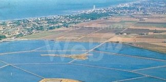 Saline di Cervia. La Giunta comunale approva il Dossier Salina per la candidatura patrimonio dell’UNESCO