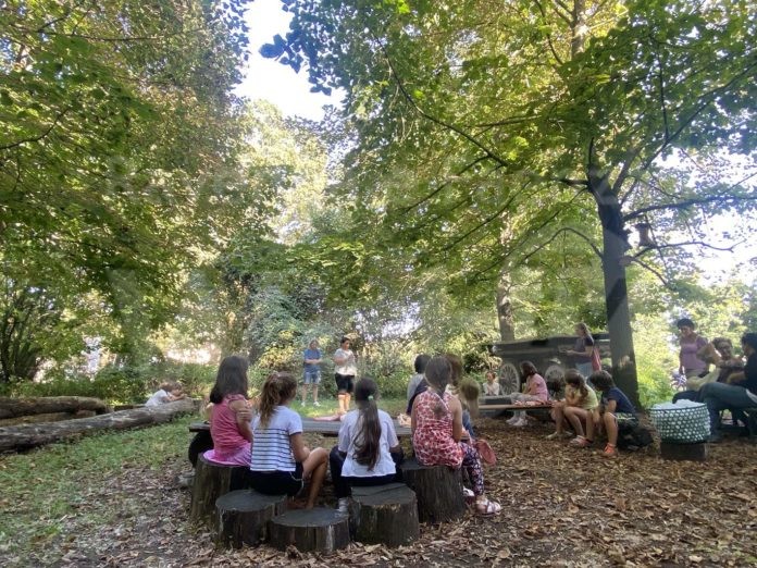 verde brillante pantaleone 3