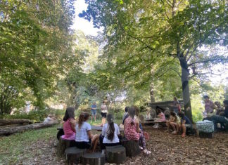 Bagnacavallo: Natura, spettacoli e cultura con “Verde brillante” dal 5 al 17 settembre