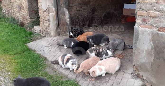 16208346422690508746