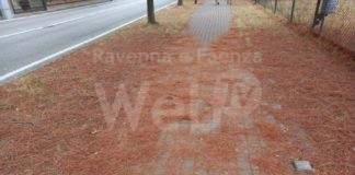 Spadoni (LpRa): manutenzioni fondamentali per le violente cadute d’acqua