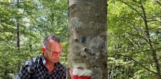 Trail Romagna lancia un crowfunding per il Cammino di San Romualdo