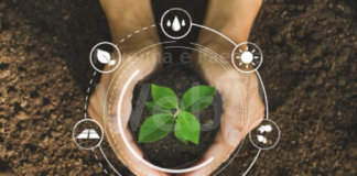 PD Fusignano: domani un dibattito su “L’agricoltura nel cambiamento climatico”