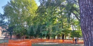 Partiti i lavori per la realizzazione del parco inclusivo all’interno del Tondo