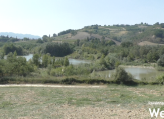 Vignali (FI): “Completare le casse di laminazione del torrente Senio a Cuffiano”