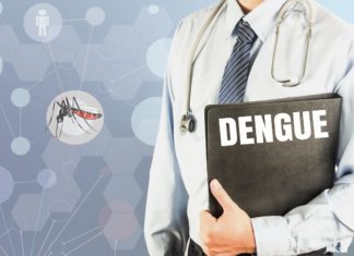 Caso sospetto di febbre da virus Dengue a Castel Bolognese