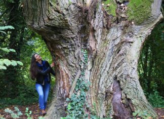 Unione: continua la rassegna regionale «Vivi il verde» in Bassa Romagna